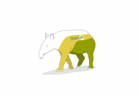 Tapir (Team-PI) - 